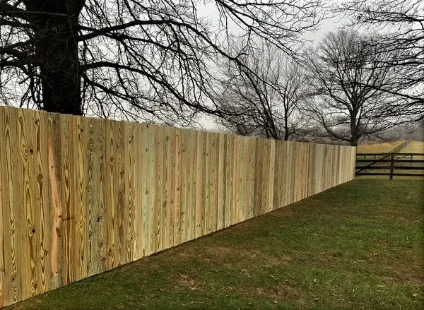Pressure Treated Privacy / Post and Board Combination Fence
