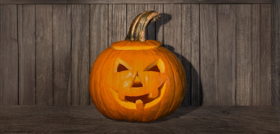 Eerie-Sistible Fencing Options