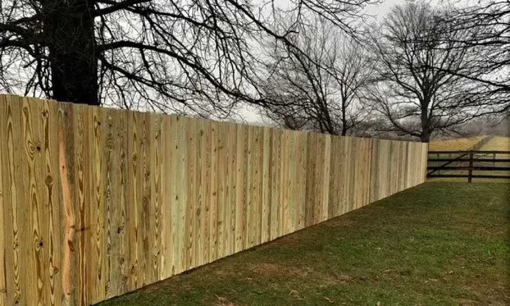 Pressure Treated Privacy / Post and Board Combination Fence
