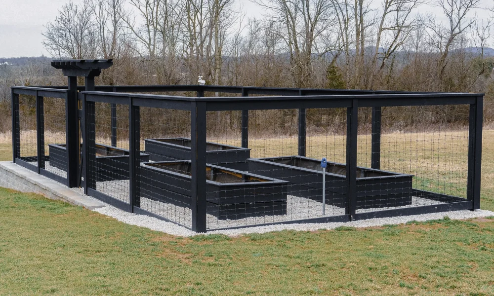 Custom Garden Enclosure